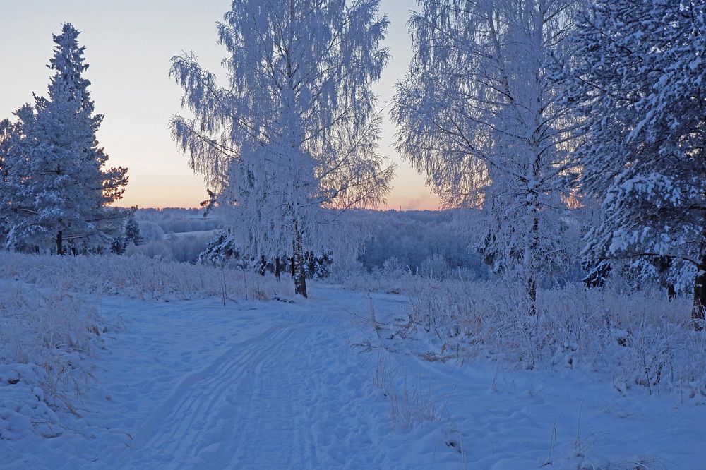 Первый снег