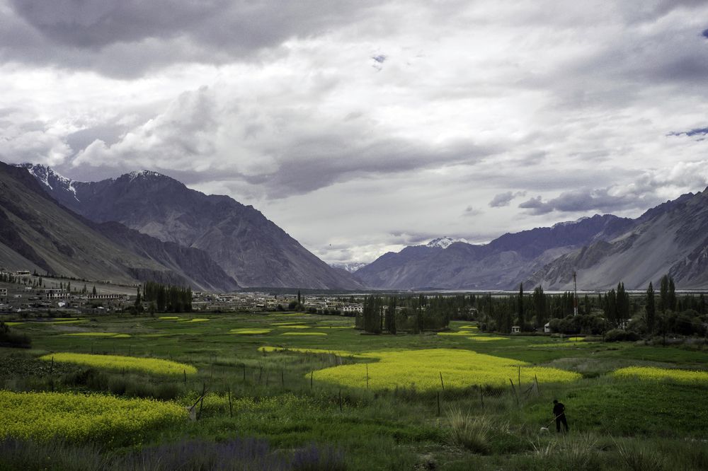 farmer in Himalaya fields