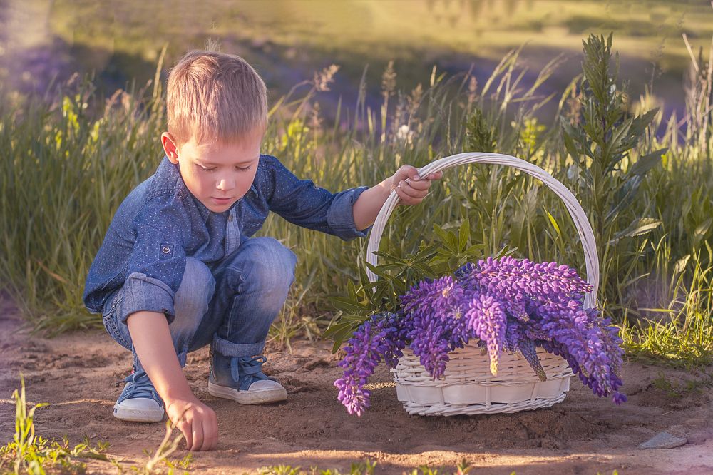 Сиреневые зарисовки