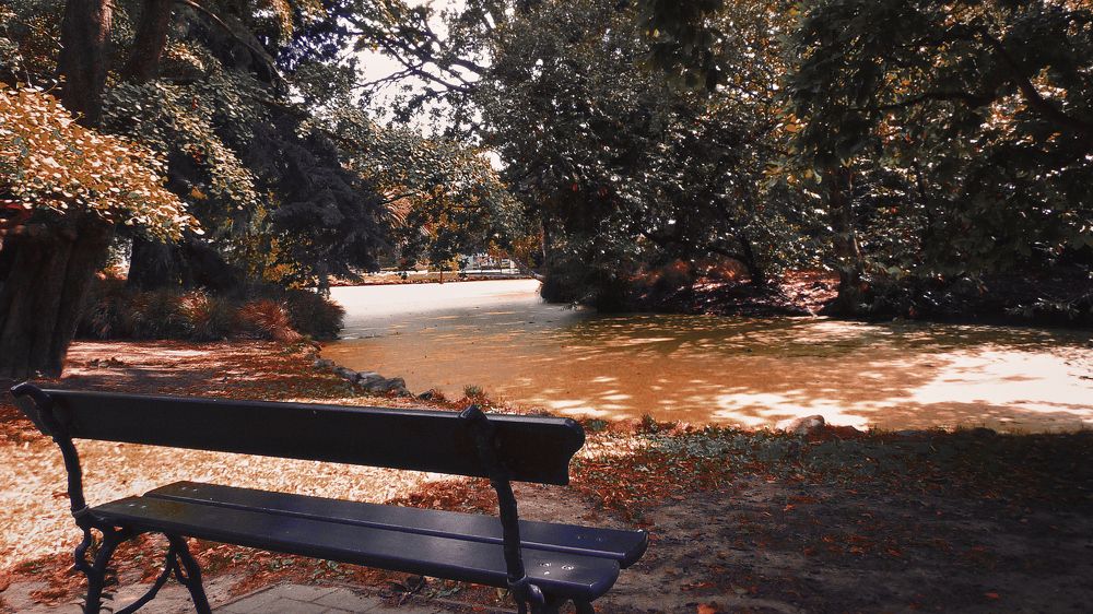 Quiet Zone