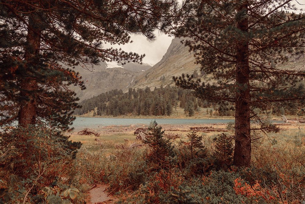 Фотография автора Степин Геннадий