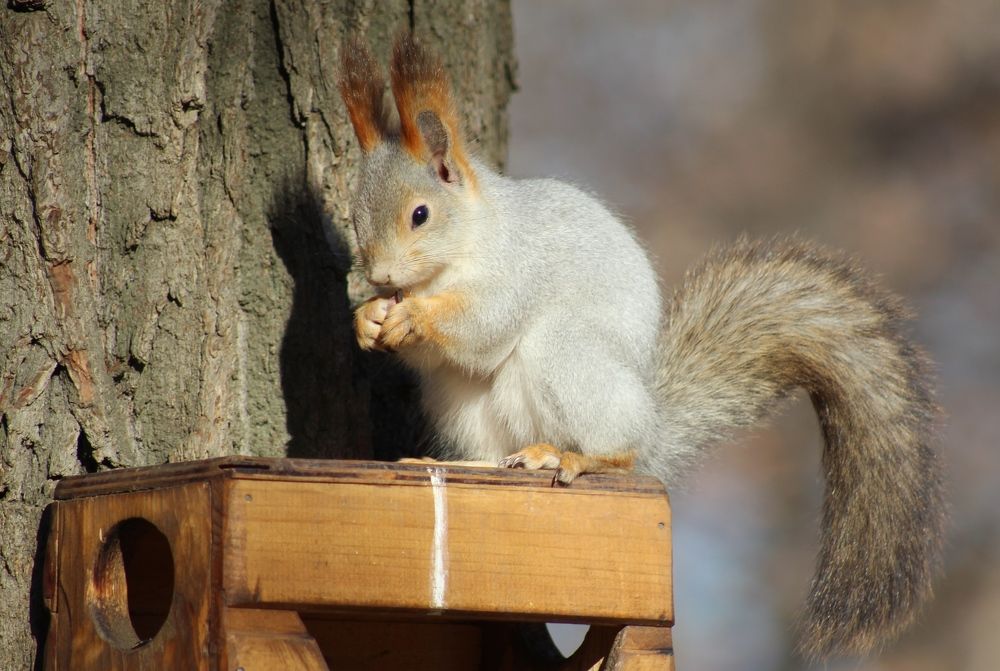 Photograph by Elena Khalizova