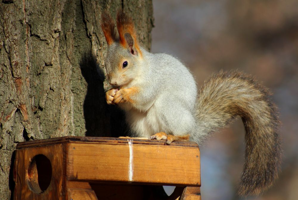 Photograph by Elena Khalizova