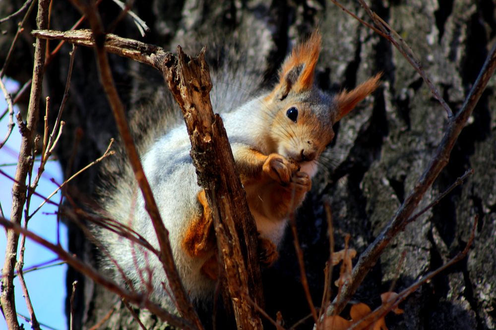 Photograph by Elena Khalizova