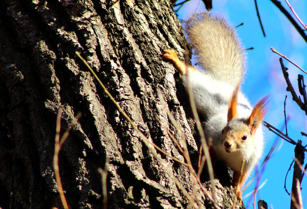 Photograph by Elena Khalizova