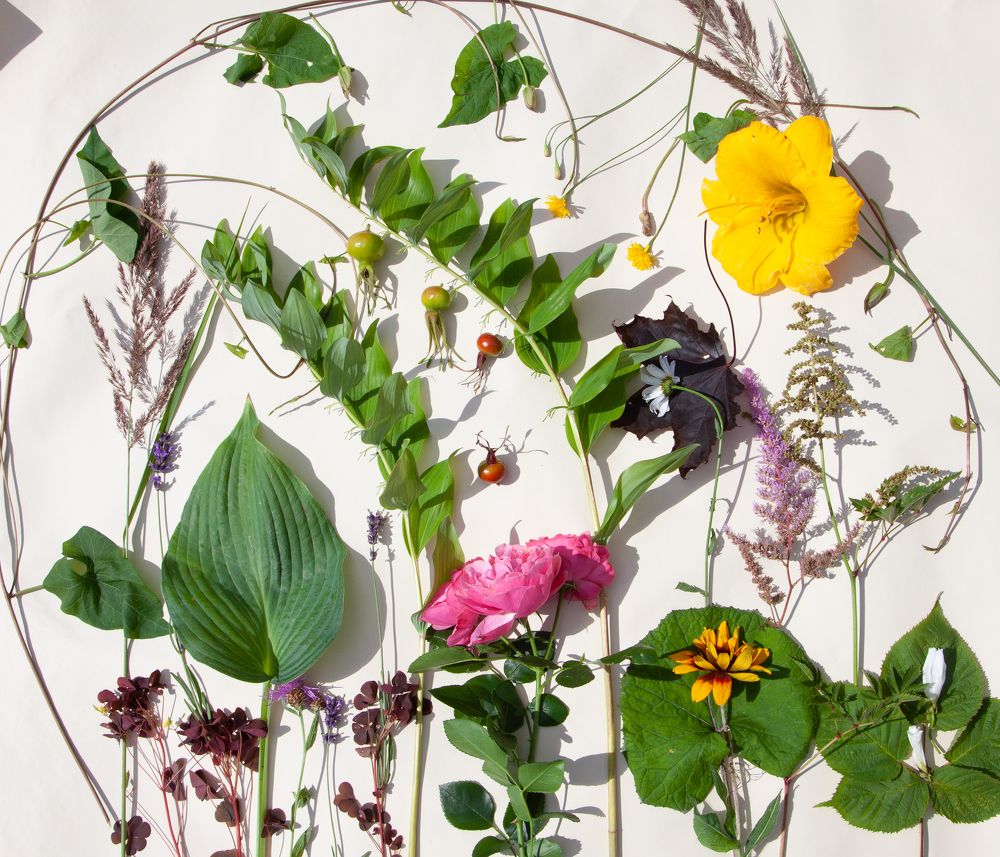 Photograph by Anna  Stoudenova