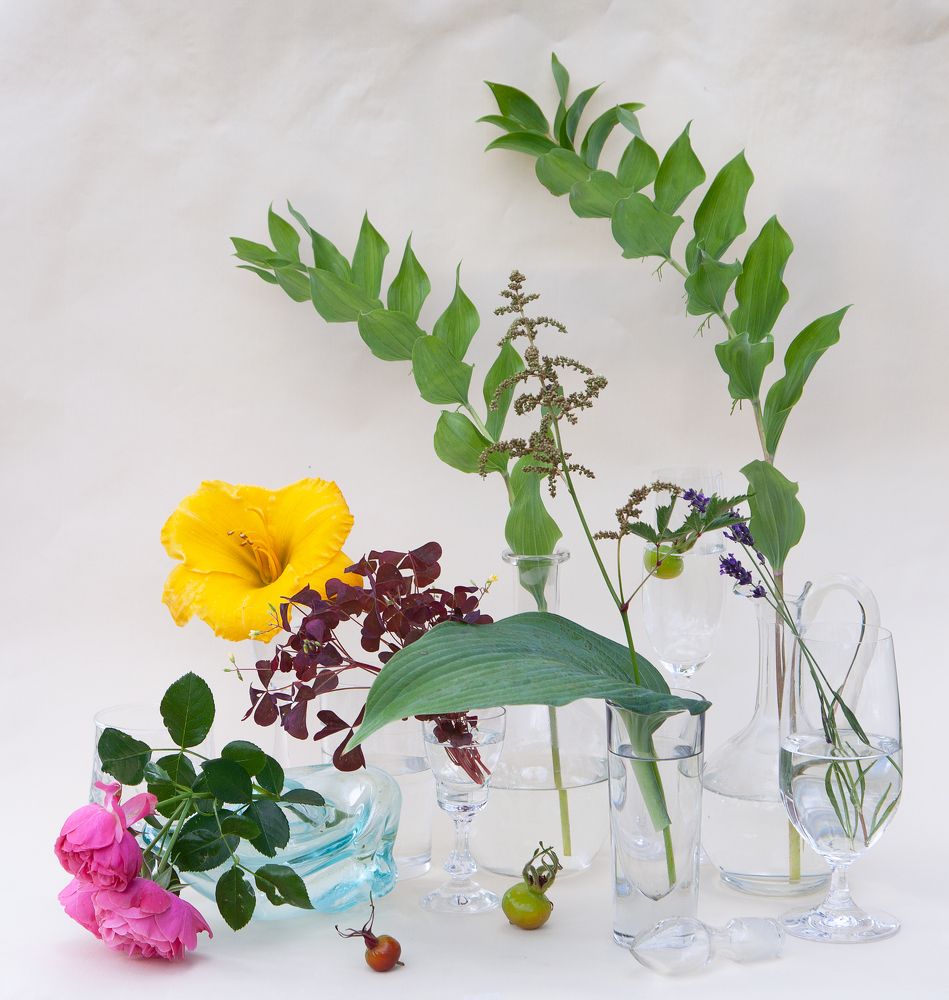 Photograph by Anna  Stoudenova