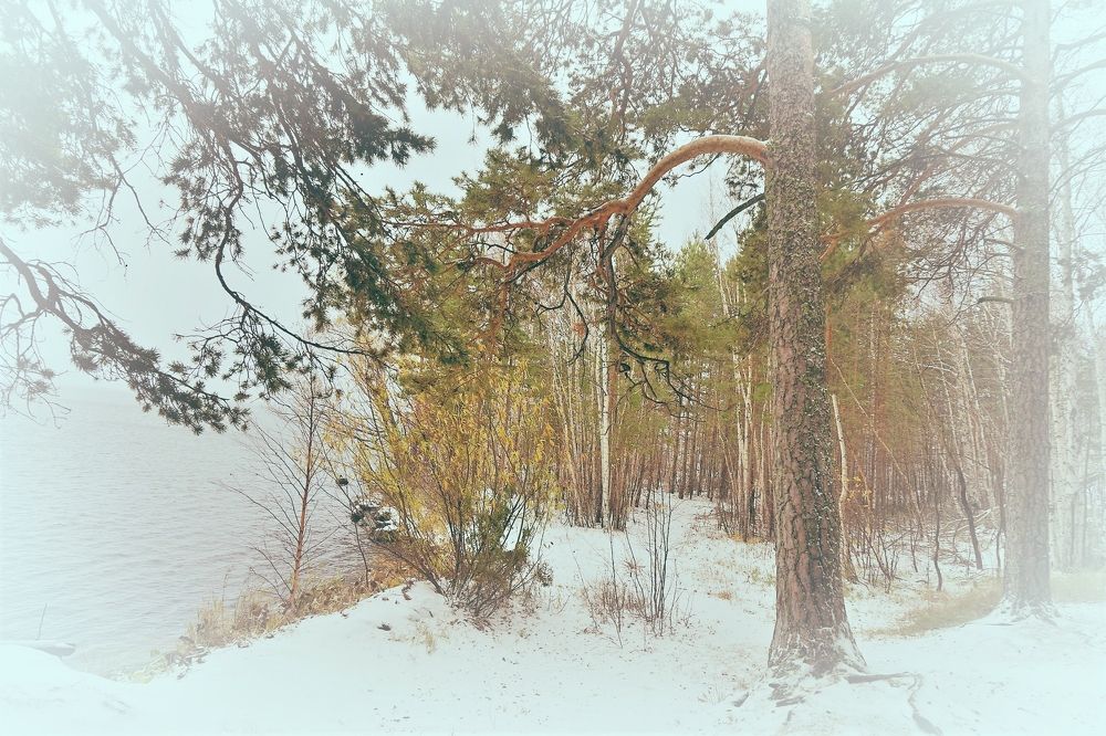 Боровое.  Осень