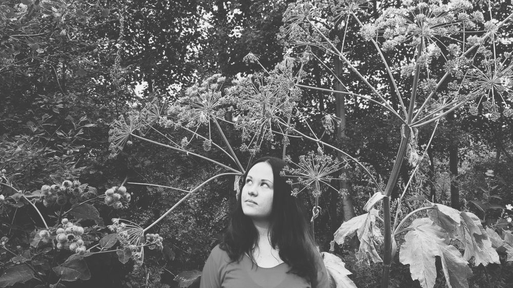 ..."- Смотри! Гигантский укроп!"...