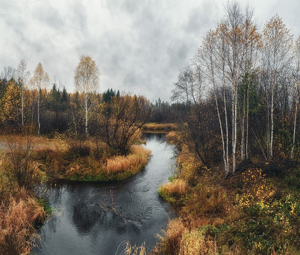 Осенний день