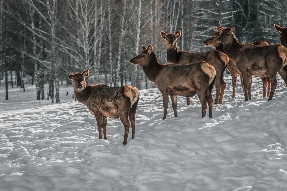 Photograph by Иоанн Степанченко