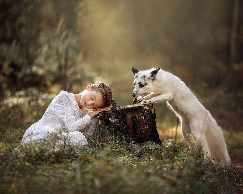 Photograph by Юлия Лоза