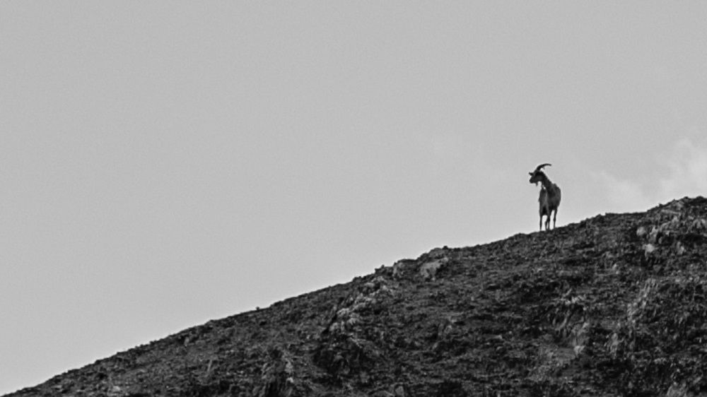 Король горных дорог.