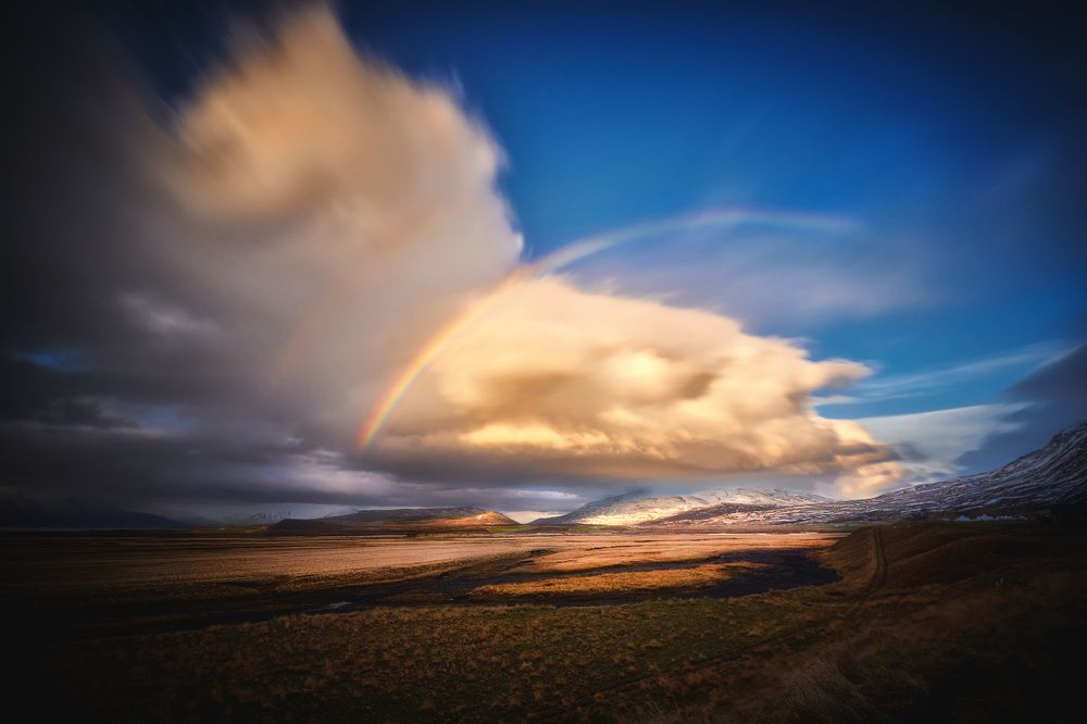 Pure Landscape of Iceland