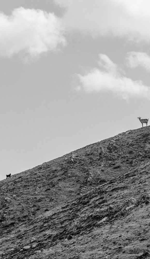 Мать и дитя