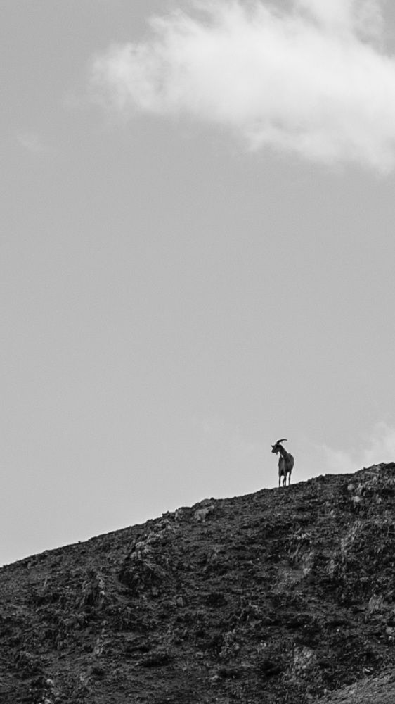 Король горных дорог.