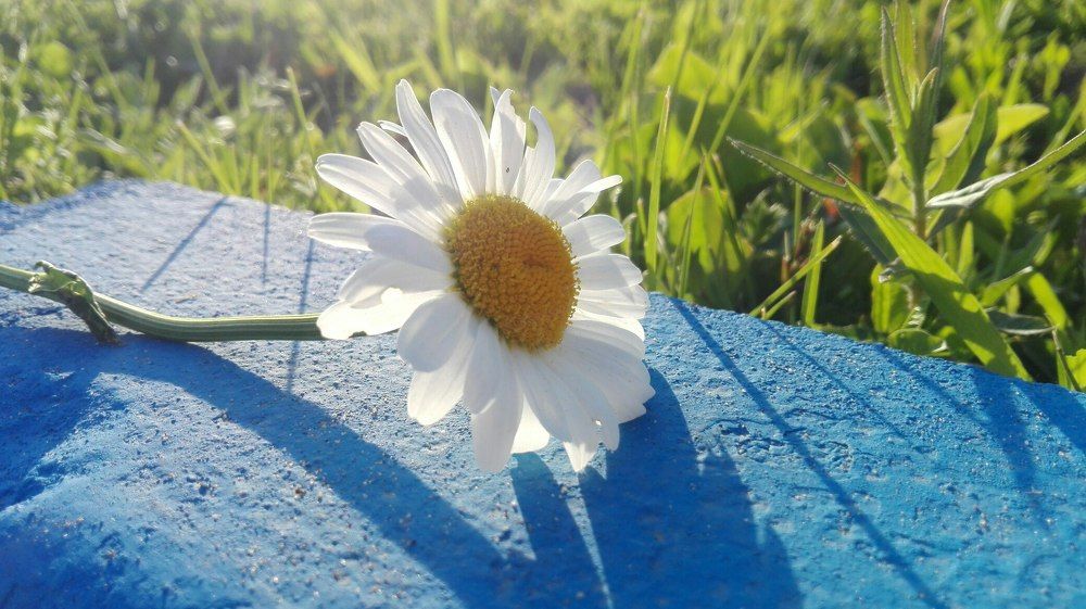 Photograph by Ирина Севрюкова