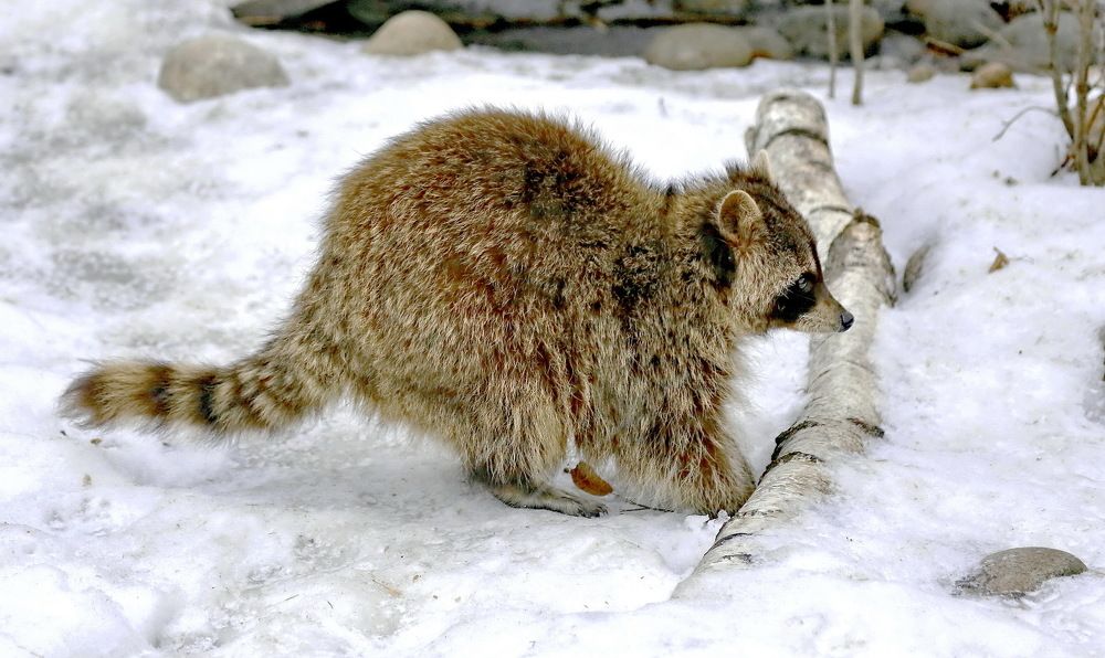 ...запрячу на потом