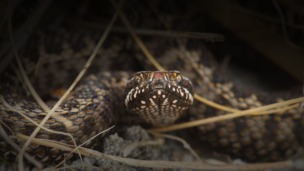 скрытая угроза