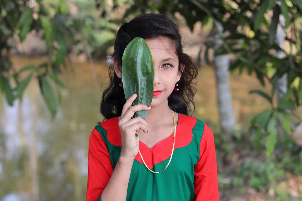 Red-Green(Bangladesh)