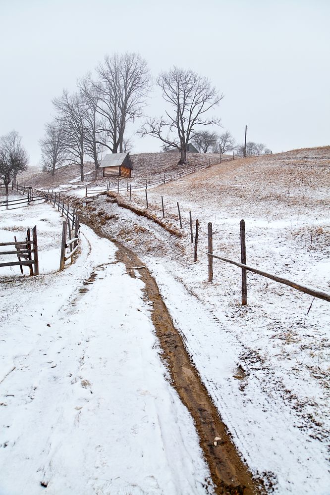 Photograph by Юлия Рублевская