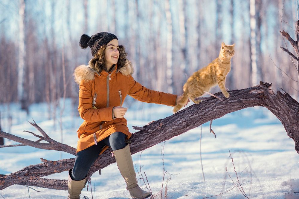 Приближение весны