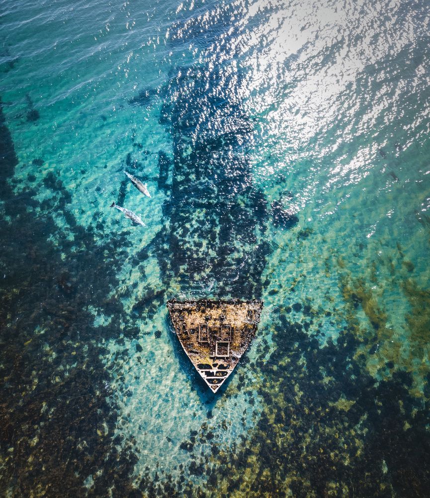 Над историей