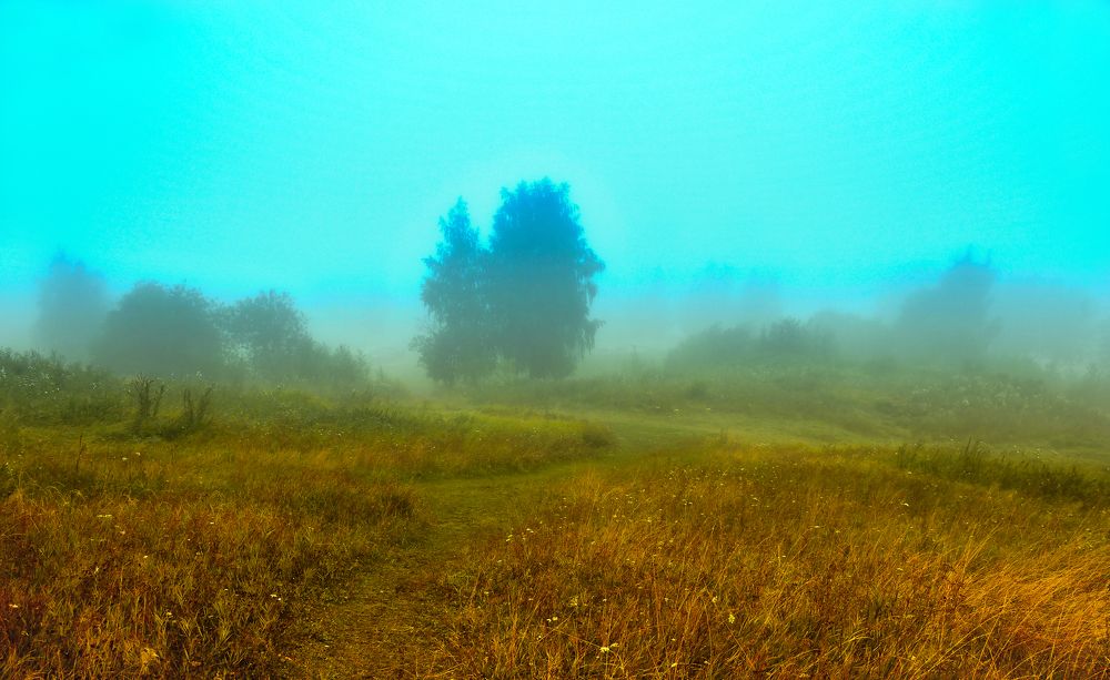 В Русской сказке