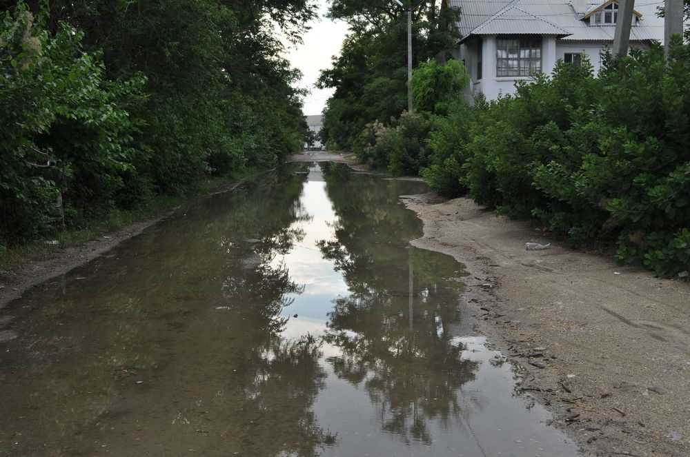 После дождя