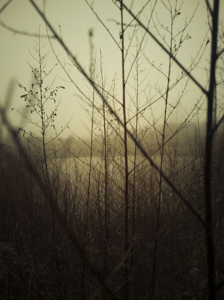 breaches in front of a lake