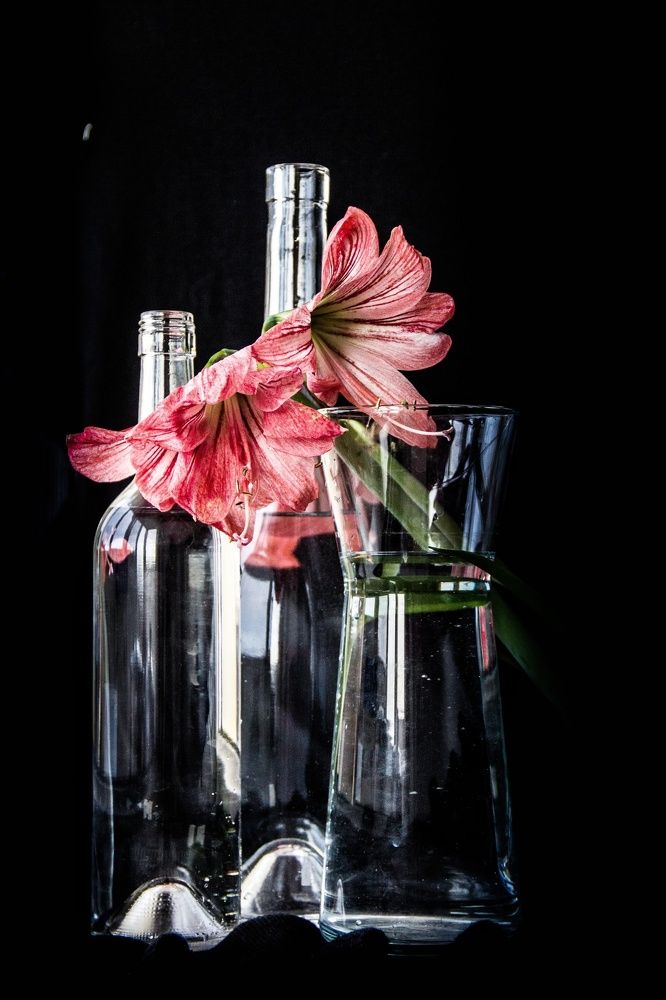 Photograph by Татьяна Запальская