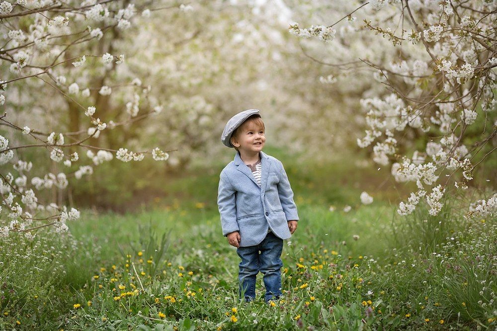 В черешневом саду