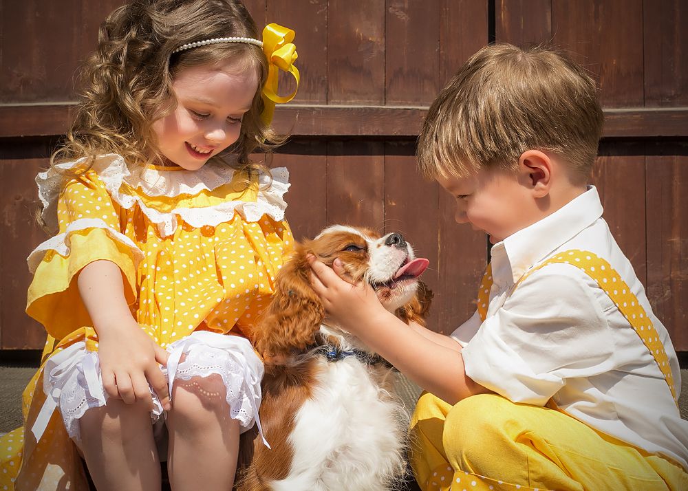 "Одуванчики"