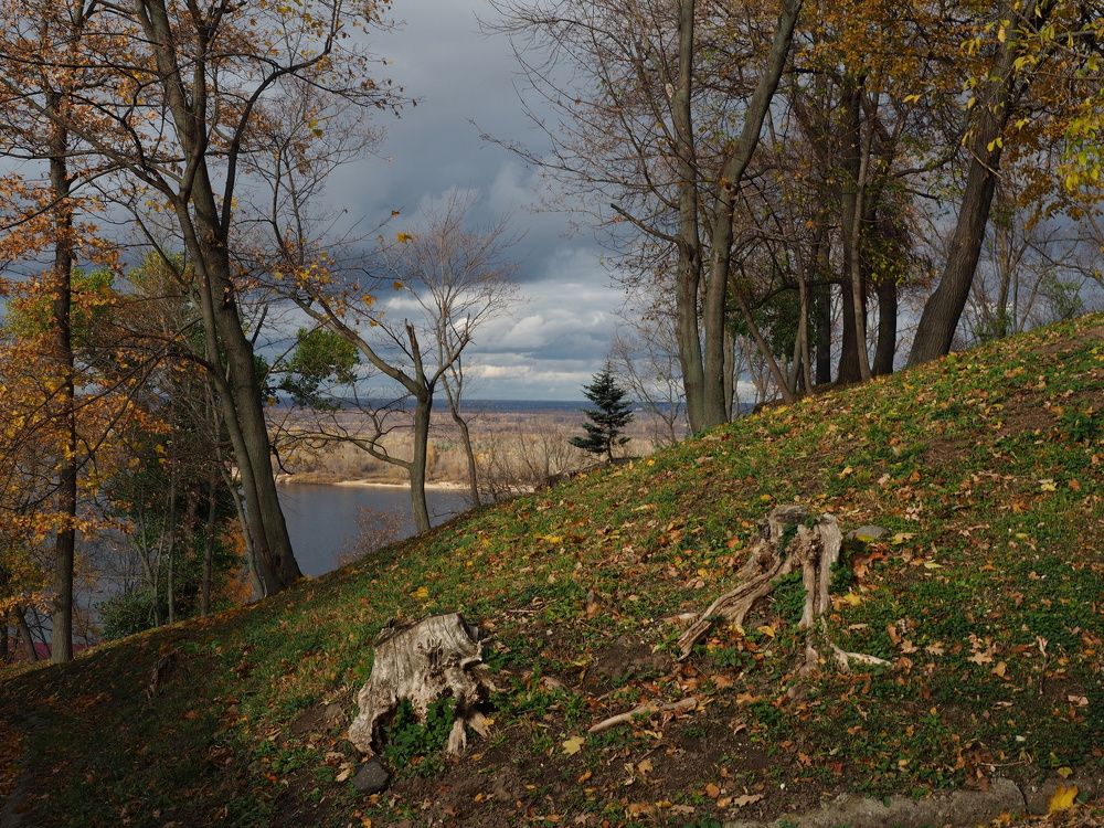 Photograph by Алексей Крылатых