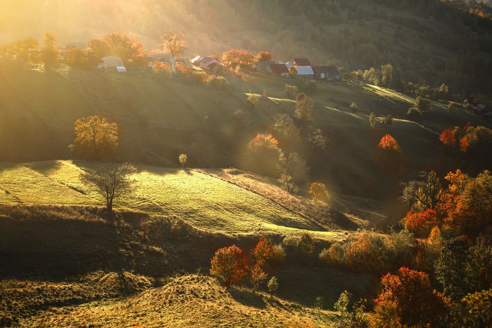 Bucovina Country,Romania
