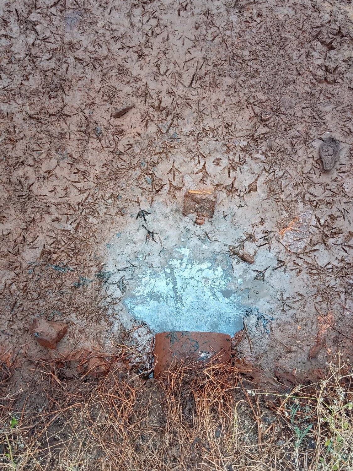 Duck Imprints (untouch)
