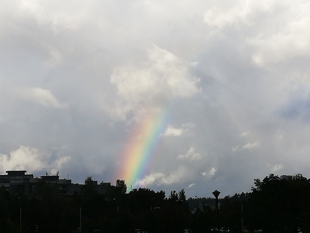 Природа в городе