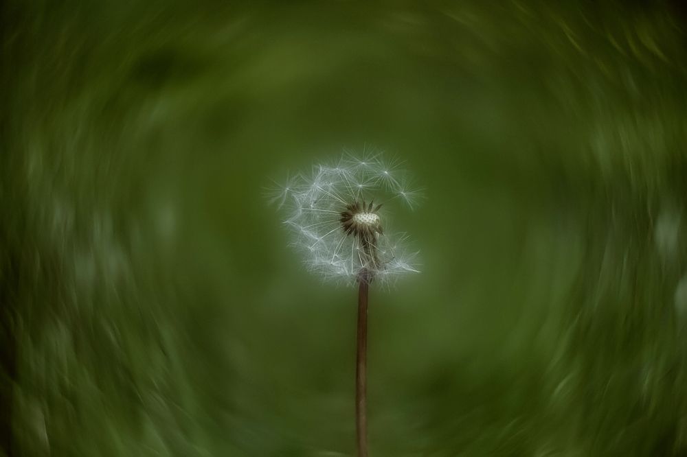 Photograph by Ольга Белова