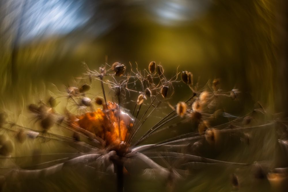 Photograph by Ольга Белова