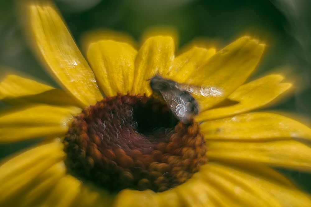 Photograph by Ольга Белова