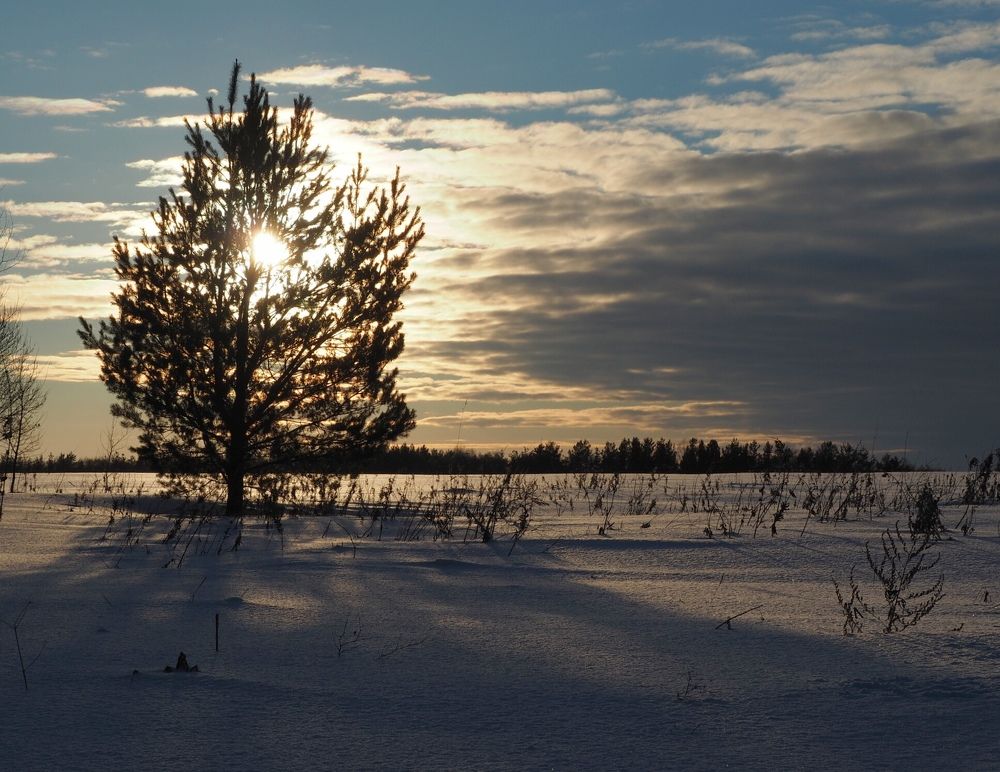 Photograph by Алексей Крылатых