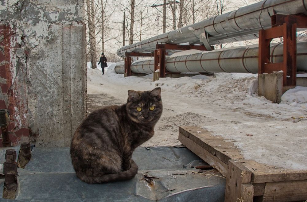 Photograph by Ольга Белова