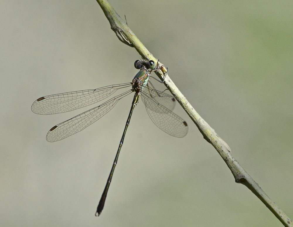 Photograph by Александр Колтухов