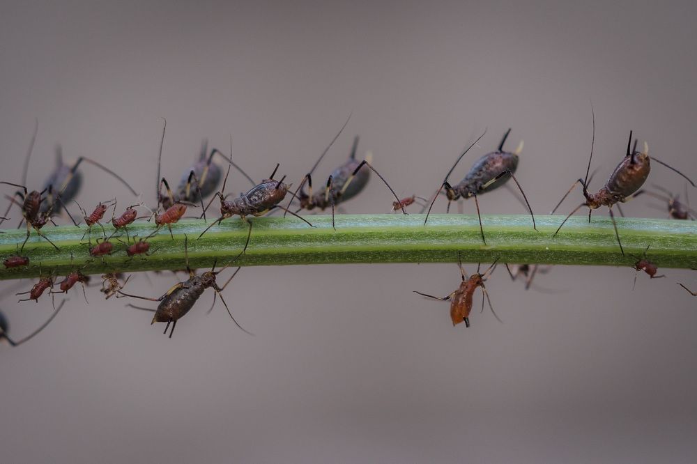 Photograph by Городничева Елена