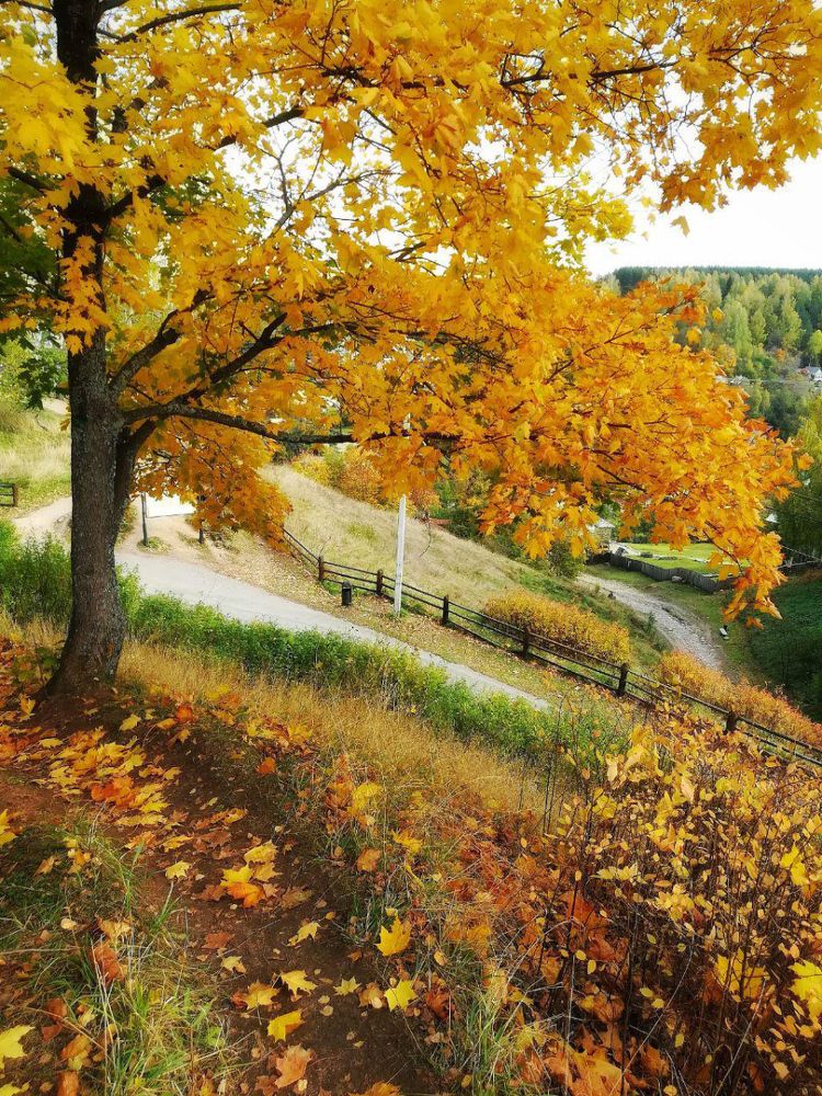 Осенний наряд