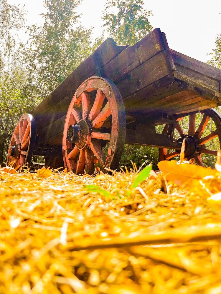 Эко транспорт