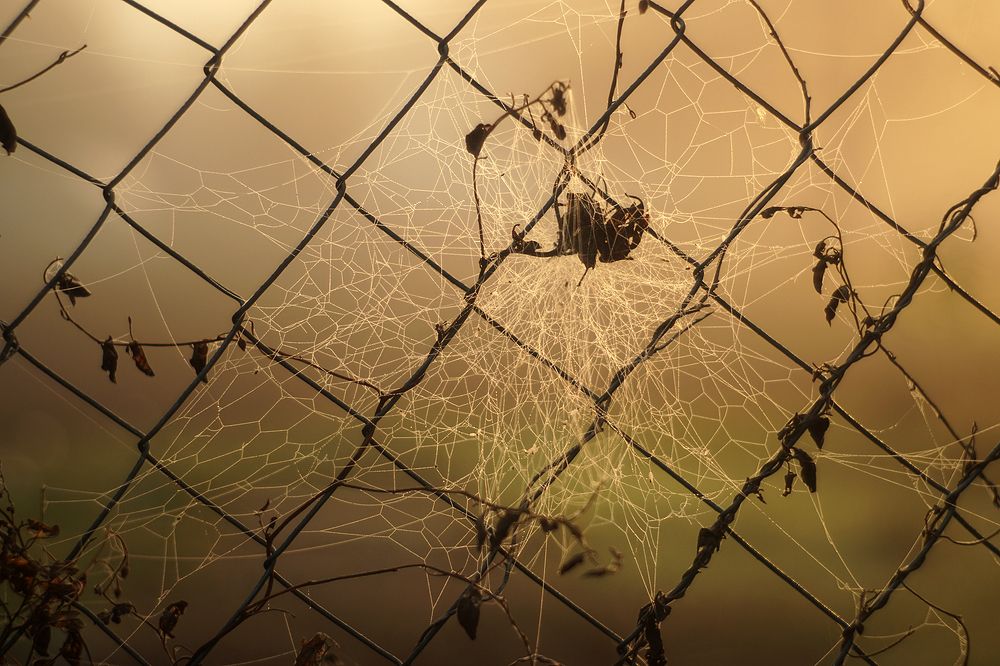 Photograph by Dzianis Mizhui