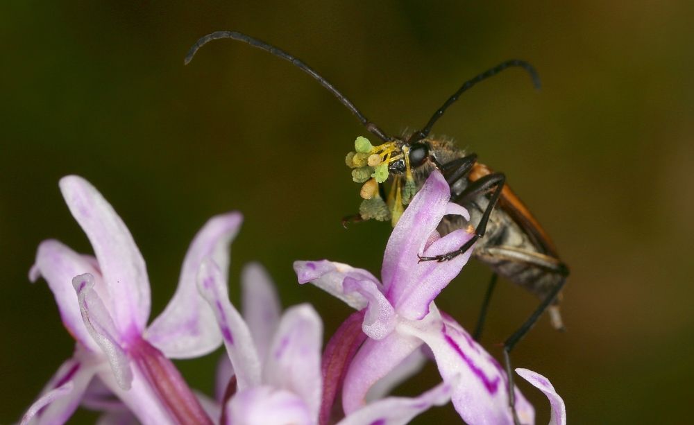 С букетом на свидание