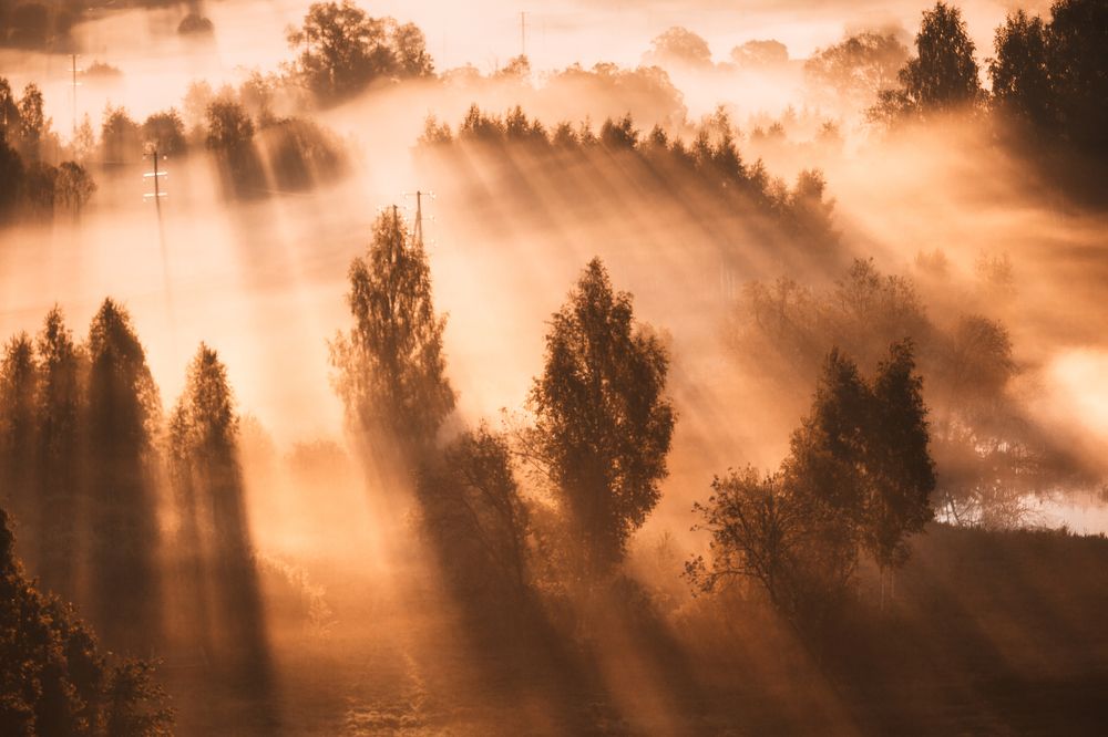 Туманное утро в Подмосковье