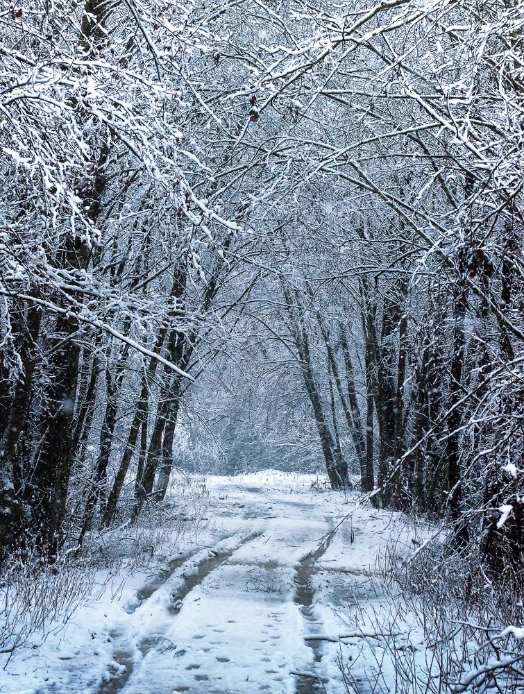 Photograph by Александр Орнатский